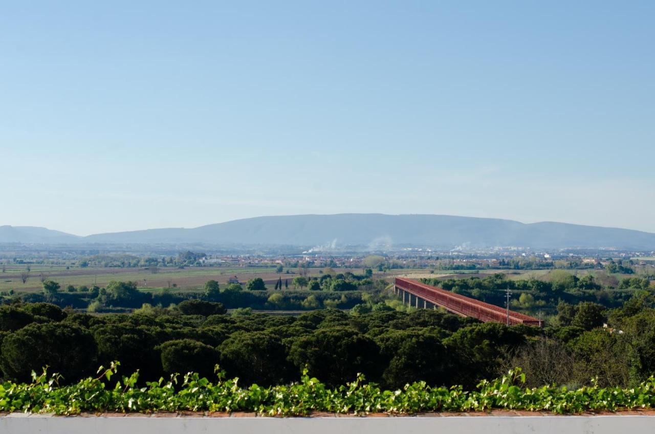 Chamusca  Convento Inn And Artists Residency מראה חיצוני תמונה