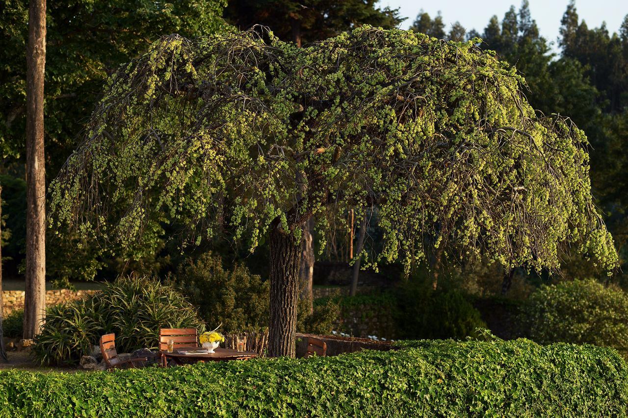 Chamusca  Convento Inn And Artists Residency מראה חיצוני תמונה