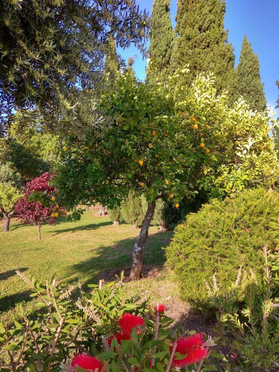 Chamusca  Convento Inn And Artists Residency מראה חיצוני תמונה